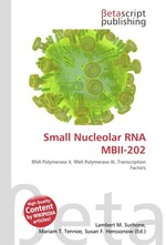 Small Nucleolar RNA MBII-202