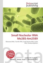 Small Nucleolar RNA Me28S-Am2589