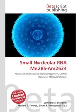 Small Nucleolar RNA Me28S-Am2634