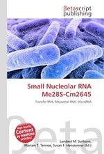 Small Nucleolar RNA Me28S-Cm2645