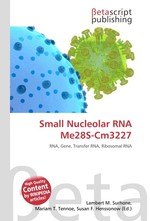 Small Nucleolar RNA Me28S-Cm3227