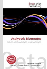 Acalyptris Bicornutus