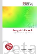 Acalyptris Limonii