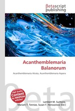 Acanthemblemaria Balanorum