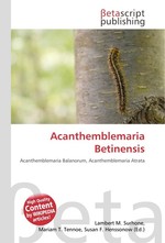 Acanthemblemaria Betinensis