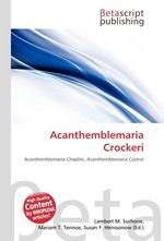 Acanthemblemaria Crockeri
