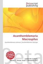 Acanthemblemaria Macrospilus