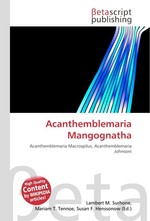 Acanthemblemaria Mangognatha