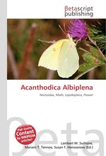 Acanthodica Albiplena
