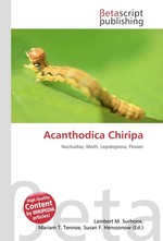 Acanthodica Chiripa