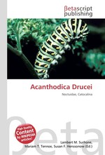 Acanthodica Drucei