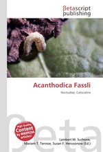 Acanthodica Fassli