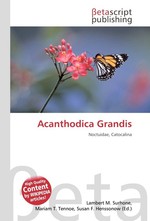 Acanthodica Grandis