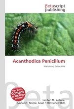 Acanthodica Penicillum