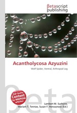 Acantholycosa Azyuzini