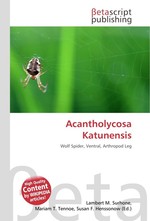Acantholycosa Katunensis