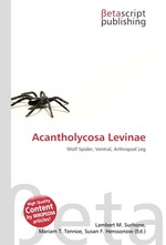 Acantholycosa Levinae