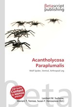 Acantholycosa Paraplumalis
