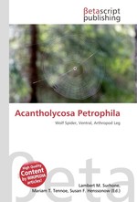 Acantholycosa Petrophila
