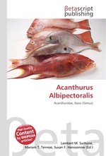 Acanthurus Albipectoralis