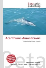 Acanthurus Auranticavus