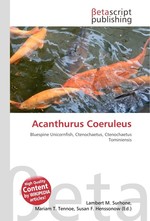 Acanthurus Coeruleus