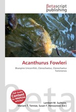 Acanthurus Fowleri