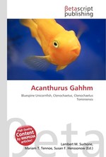 Acanthurus Gahhm