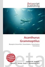 Acanthurus Grammoptilus