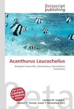 Acanthurus Leucocheilus