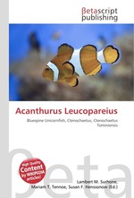 Acanthurus Leucopareius