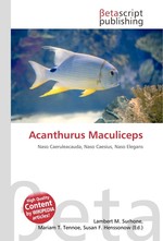 Acanthurus Maculiceps