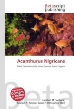 Acanthurus Nigricans