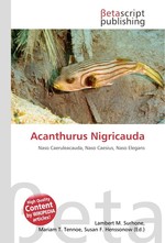Acanthurus Nigricauda
