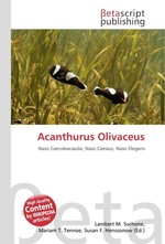 Acanthurus Olivaceus