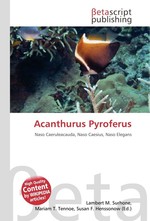 Acanthurus Pyroferus