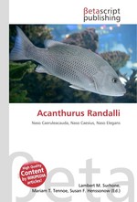 Acanthurus Randalli