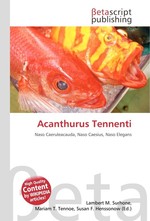Acanthurus Tennenti