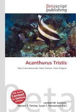 Acanthurus Tristis