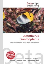 Acanthurus Xanthopterus
