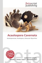 Acaulospora Cavernata