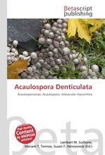 Acaulospora Denticulata