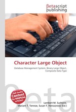 Character Large Object