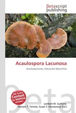 Acaulospora Lacunosa