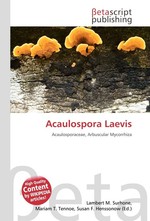 Acaulospora Laevis