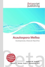 Acaulospora Mellea