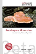 Acaulospora Morrowiae
