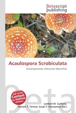 Acaulospora Scrobiculata