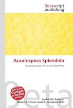 Acaulospora Splendida