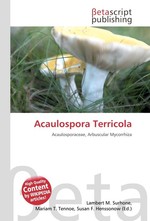 Acaulospora Terricola